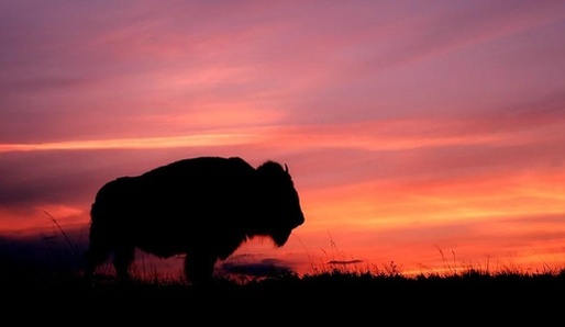 Znamen� zv�rokruhu a charakteristika znamen�