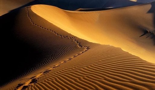 Svat� um�n� star�ho Egypta